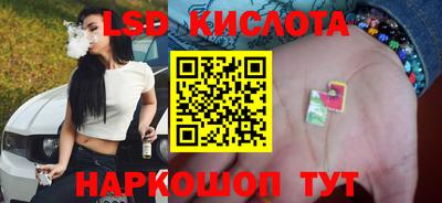 прущие грибы Первоуральск