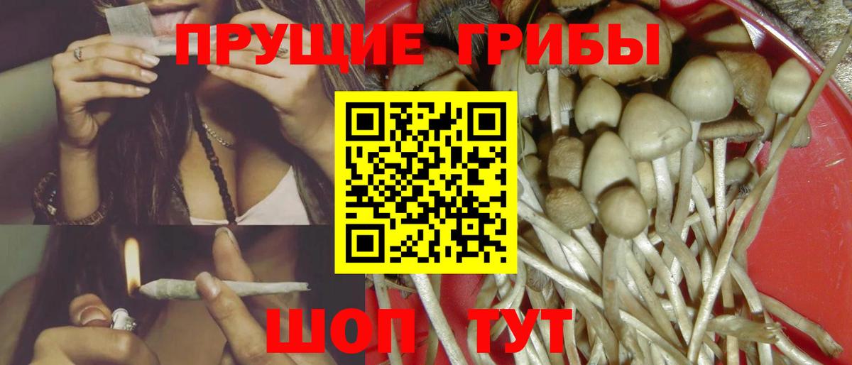 Галлюциногенные грибы ЛСД  Вход с VPN  Псилоцибиновые грибы Cubensis  Строитель 